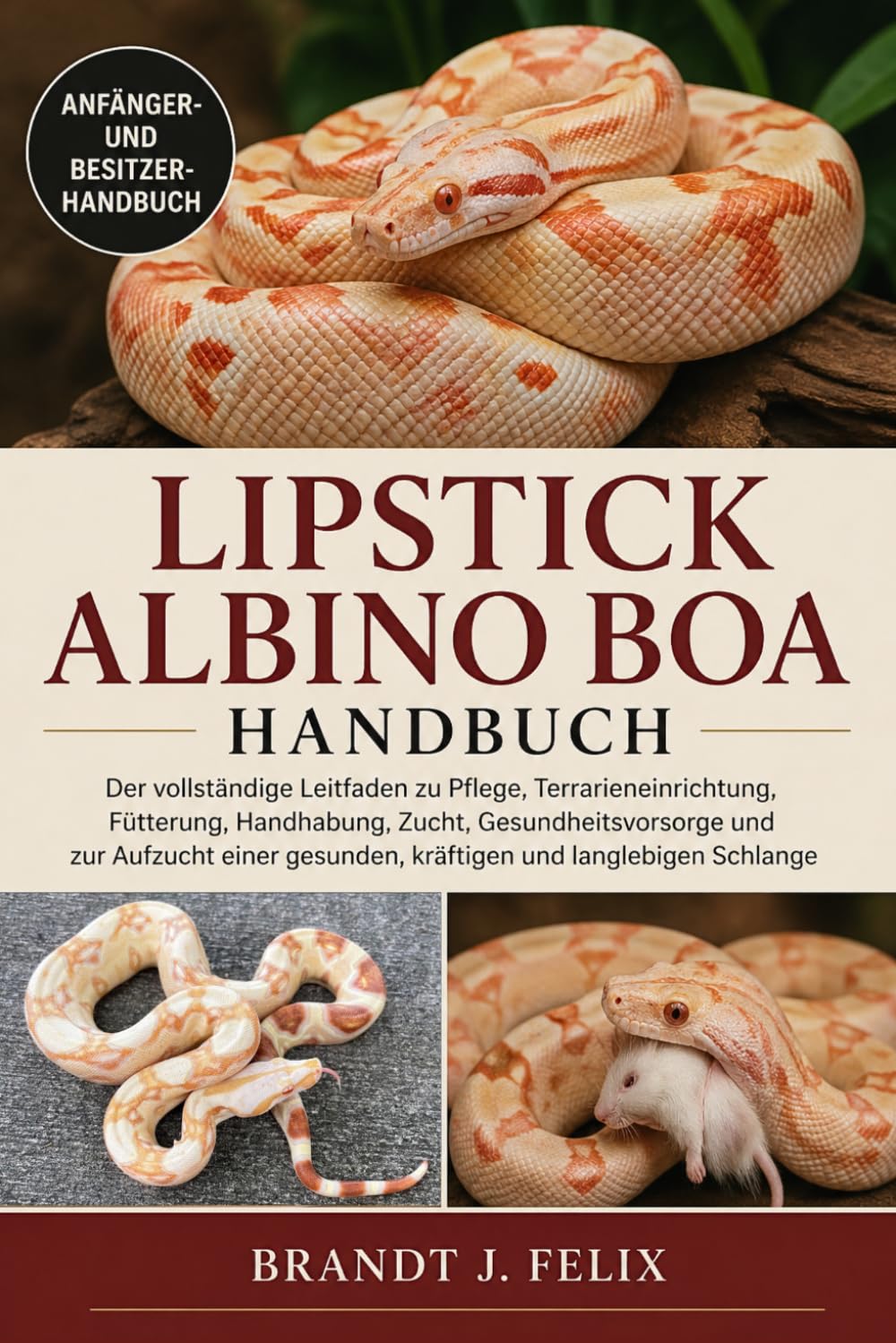 ler totalmente Lipstick Albino Boa Handbuch: Der vollständige Leitfaden zu Pflege, Terrarieneinrichtung, Fütterung, Handhabung, Zucht, Gesundheitsvorsorge und zur... gesunden, kräftigen und langlebigen Schlange