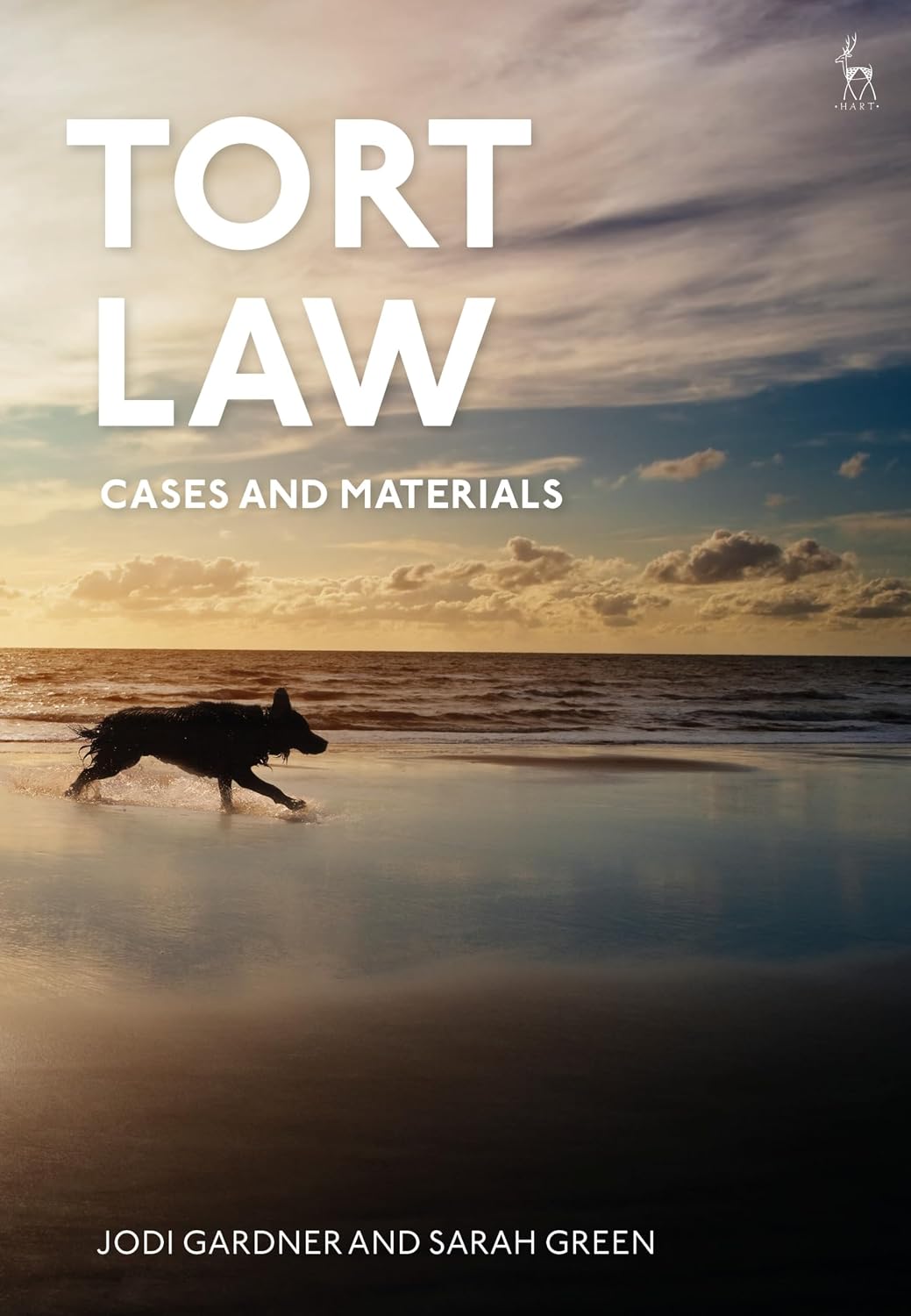Tort Law: Cases and Materials (English Edition) baixar o livro de graça