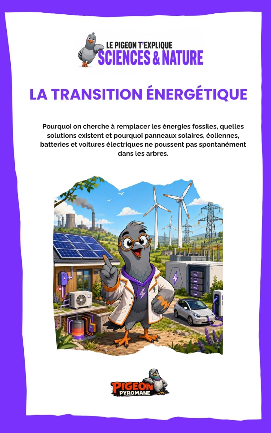 LA TRANSITION ÉNERGÉTIQUE: Pourquoi on cherche à remplacer les énergies fossiles et pourquoi panneaux solaires, éoliennes, batteries et voitures... - Sciences & Nature) (French Edition) baixar livro de graça