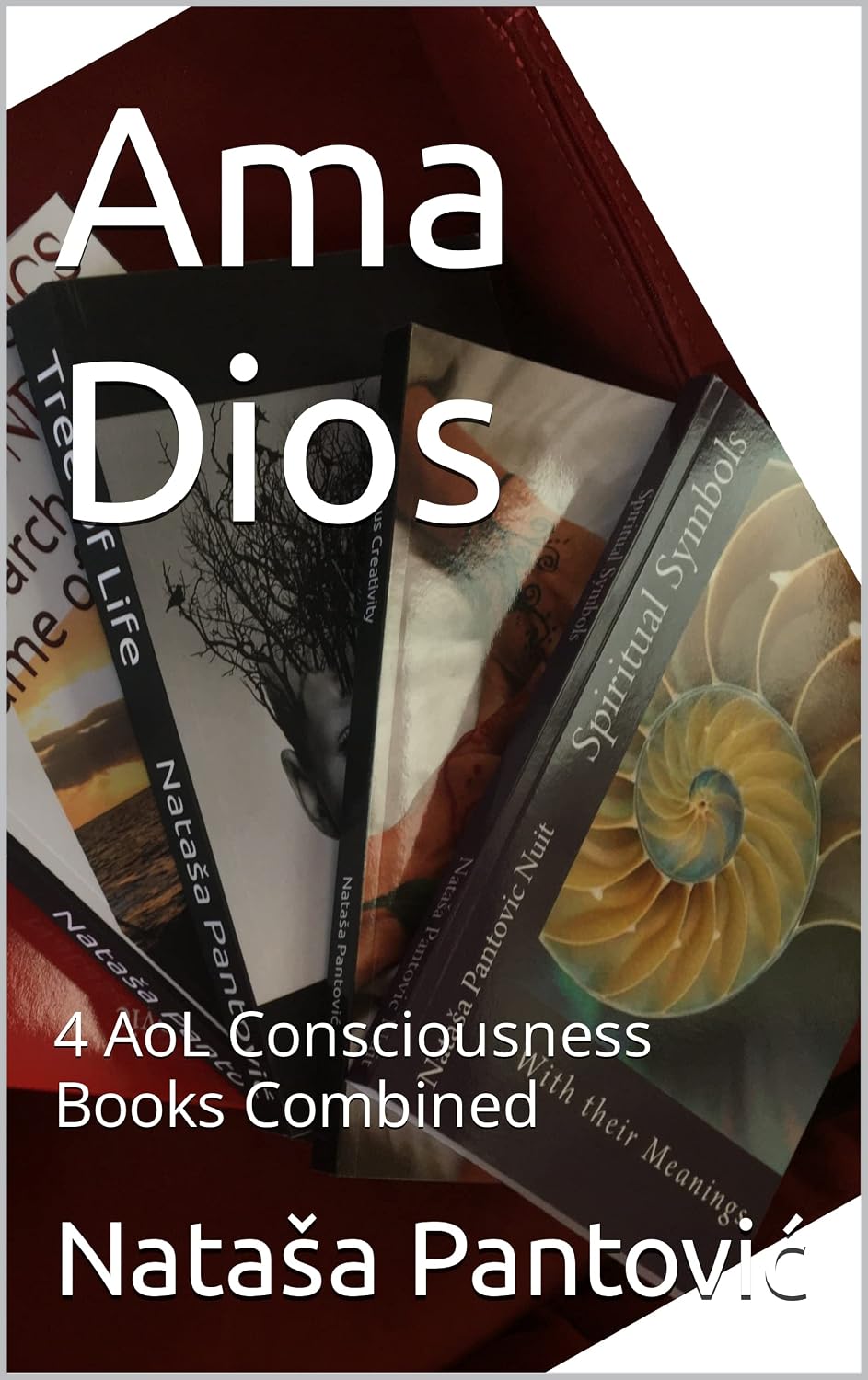 Ama Dios: 4 AoL Consciousness Books Combined (AoL Mindfulness) (English Edition) baixar o livro de graça