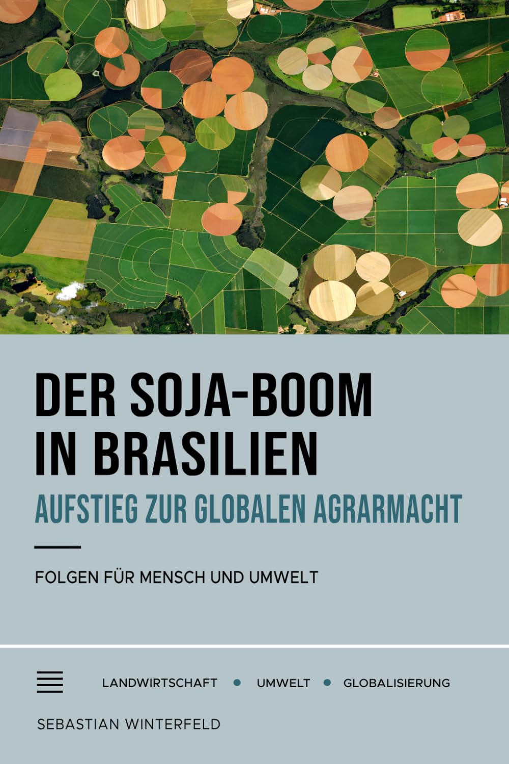 Der Soja-Boom in Brasilien: Aufstieg zur globalen Agrarmacht und Folgen des Sojaanbaus für Mensch und Umwelt baixar o livro de graça