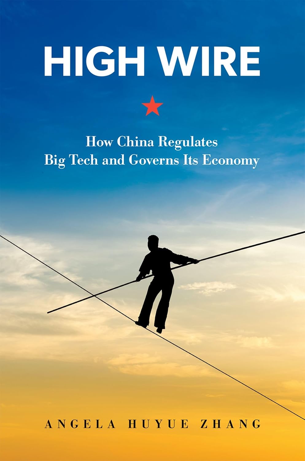 High Wire: How China Regulates Big Tech and Governs Its Economy baixar o livro de graça
