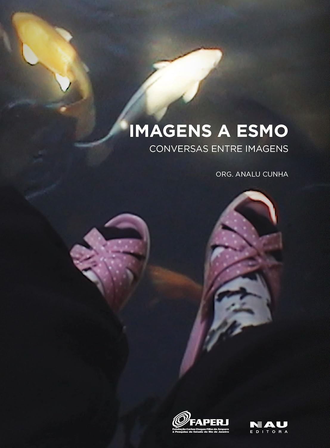 capítulo por capítulo baixar Imagens a esmo: conversas entre imagens