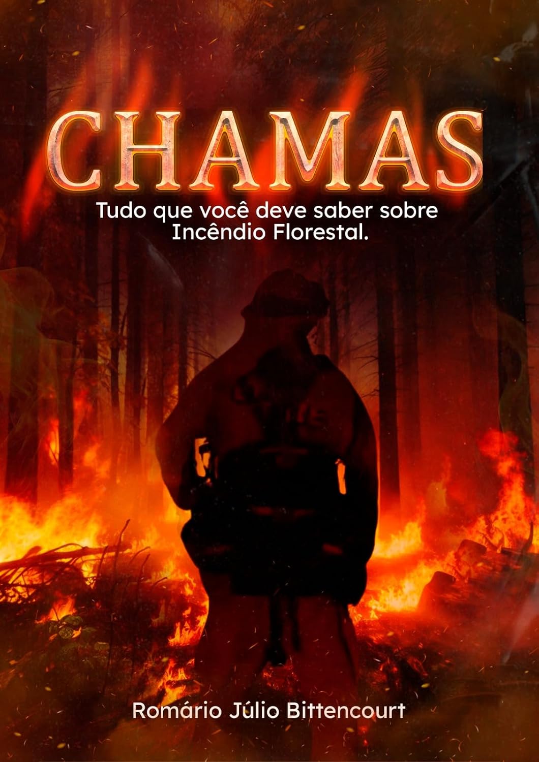 Chamas: Tudo que você deve saber sobre incêndios florestais. baixar livro de graça