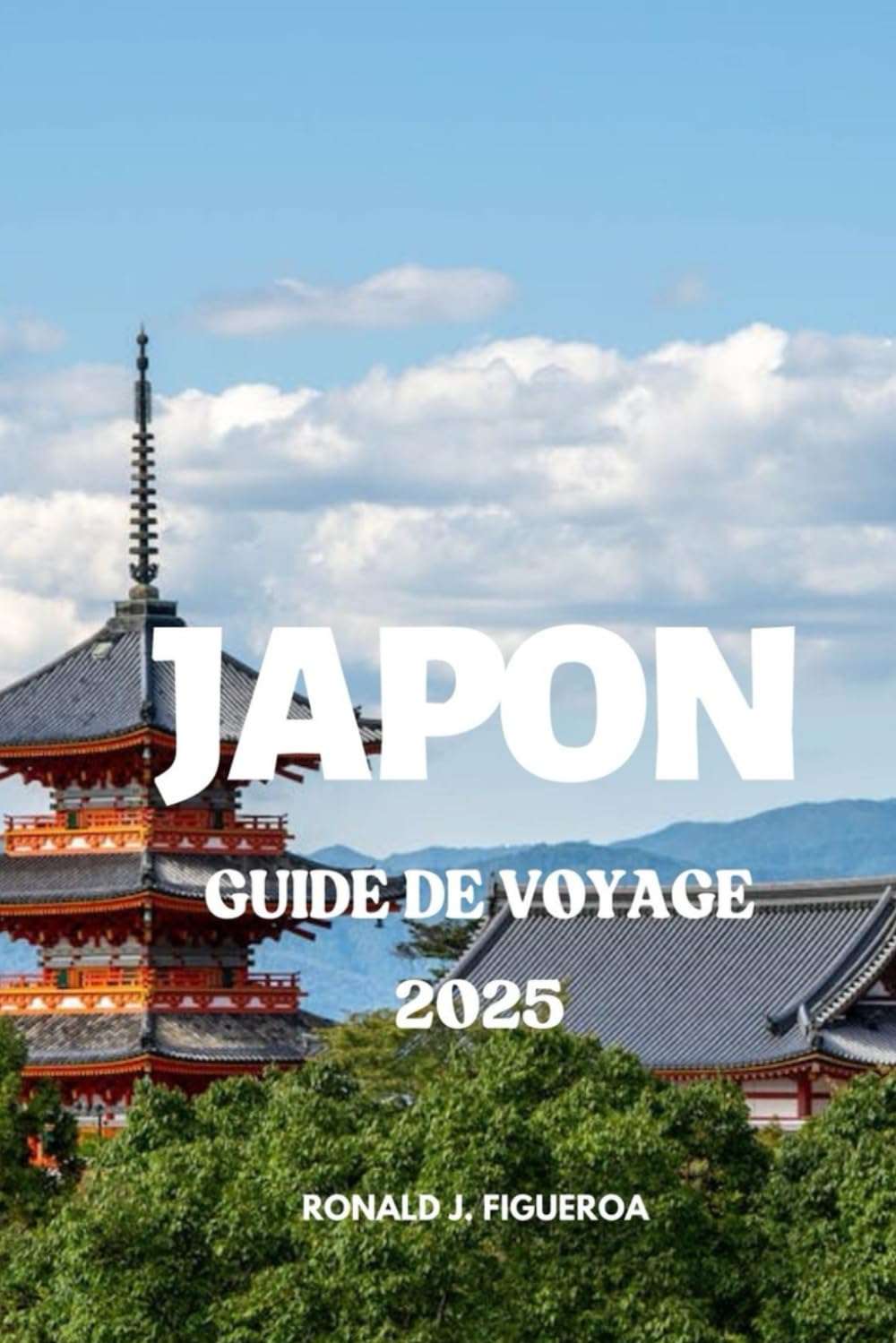 JAPON GUIDE DE VOYAGE 2025 (French Edition)