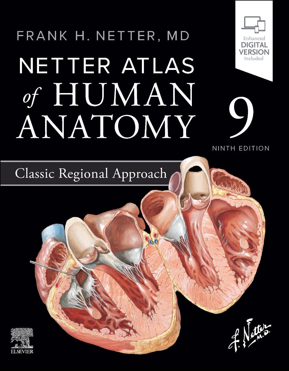 Netter Atlas of Human Anatomy: Classic Regional Approach baixar o livro de graça