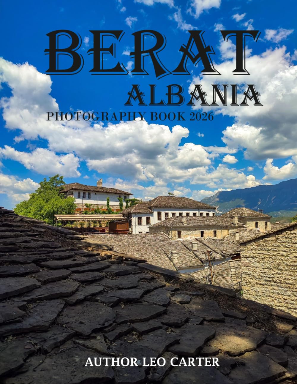 Berat Albania: A Collection of 40 Scenic Photographs Showcasing the Berat Albania baixar livro de graça