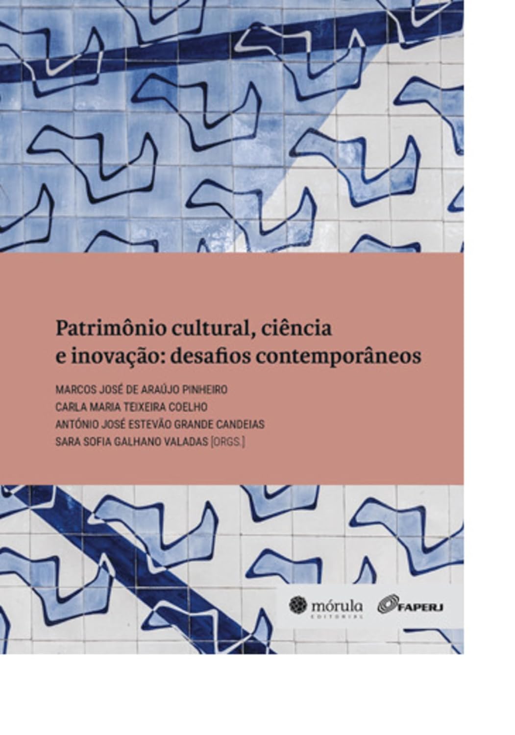 capítulo por capítulo baixar Patrimônio cultural, ciência e inovação: desafios contemporâneos