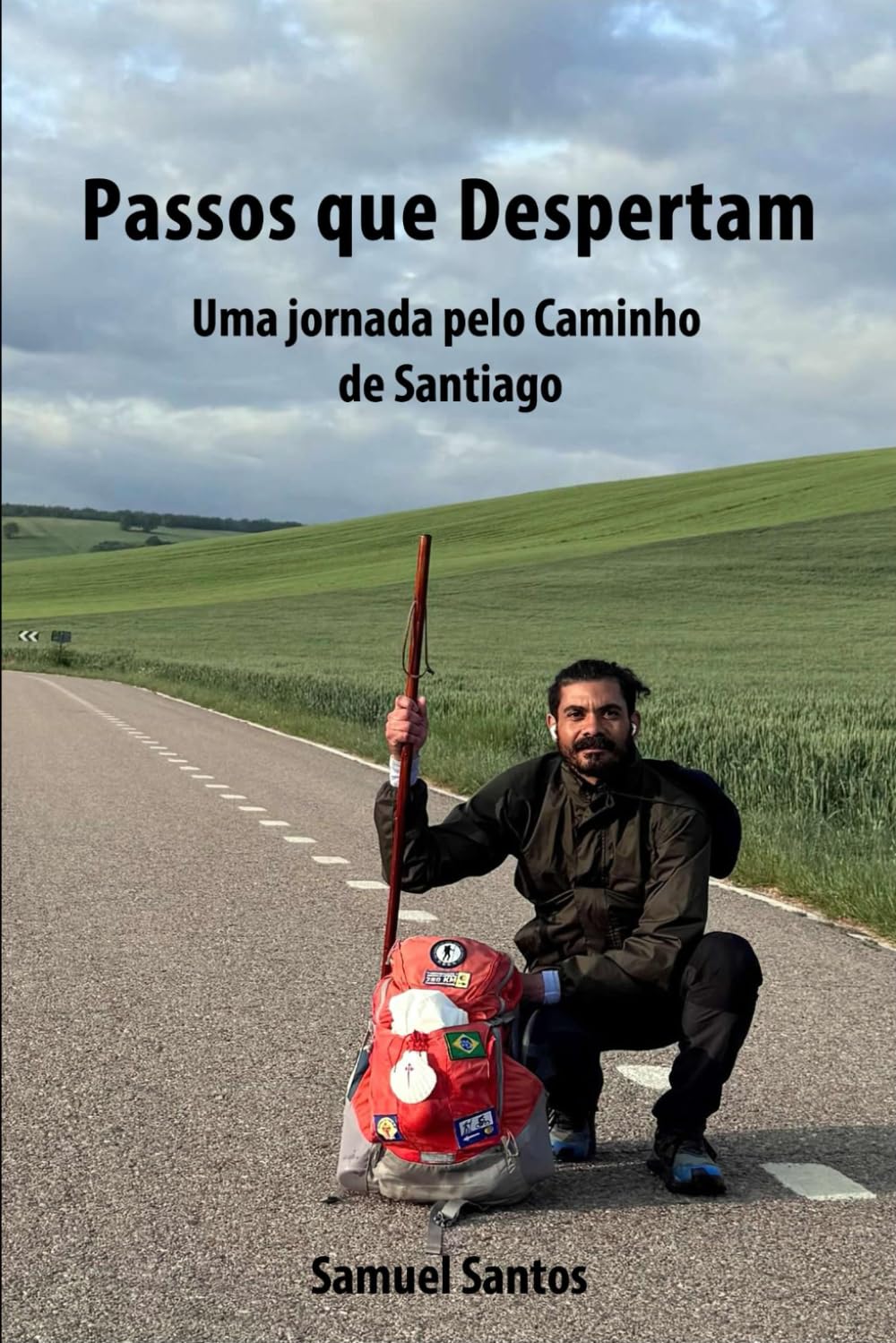 PASSOS QUE DESPERTAM: Uma jornada poética pelo Caminho de Santiago (Portuguese Edition) baixar o livro de graça