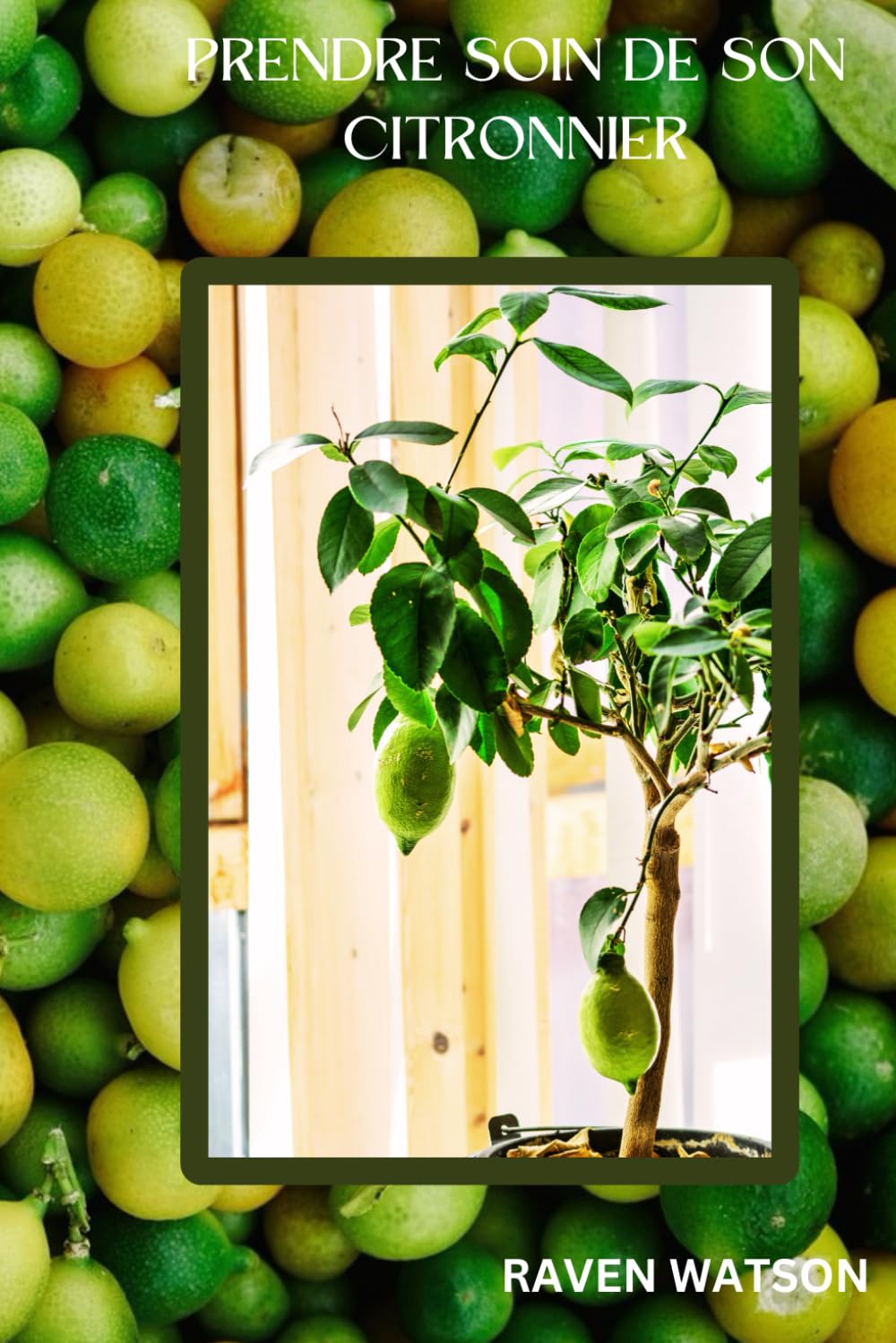 Prendre soin de son citronnier (French Edition) baixar o livro de graça