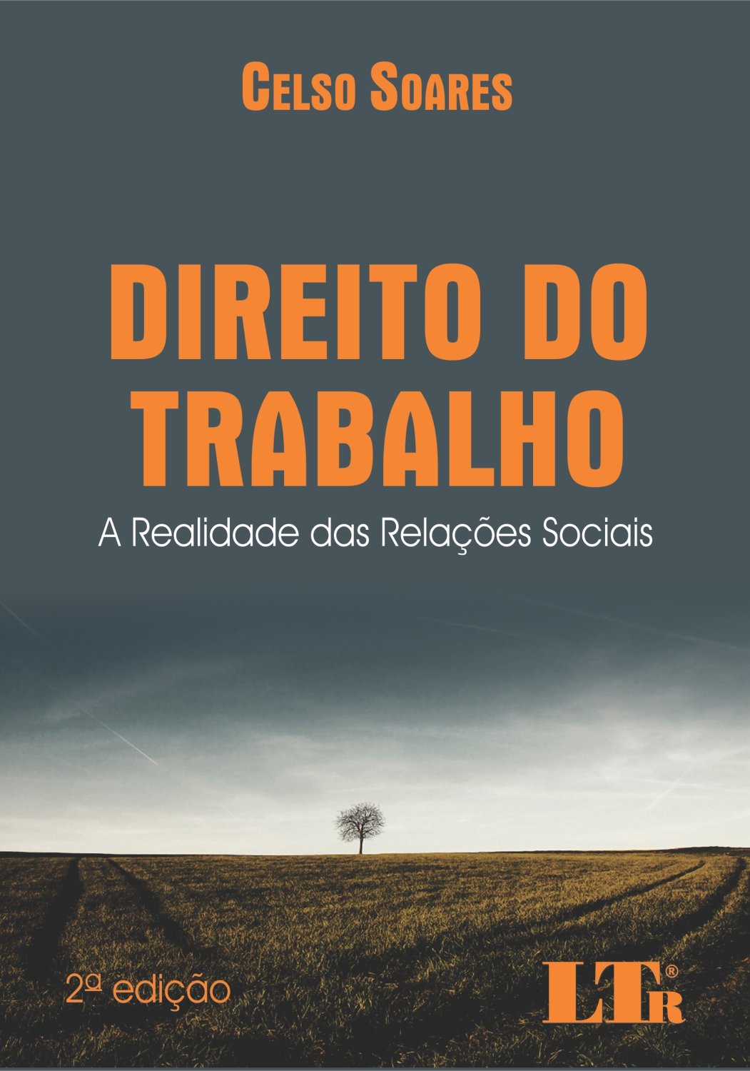 ler totalmente Direito Do Trabalho: A Realidade Das Relações Sociais