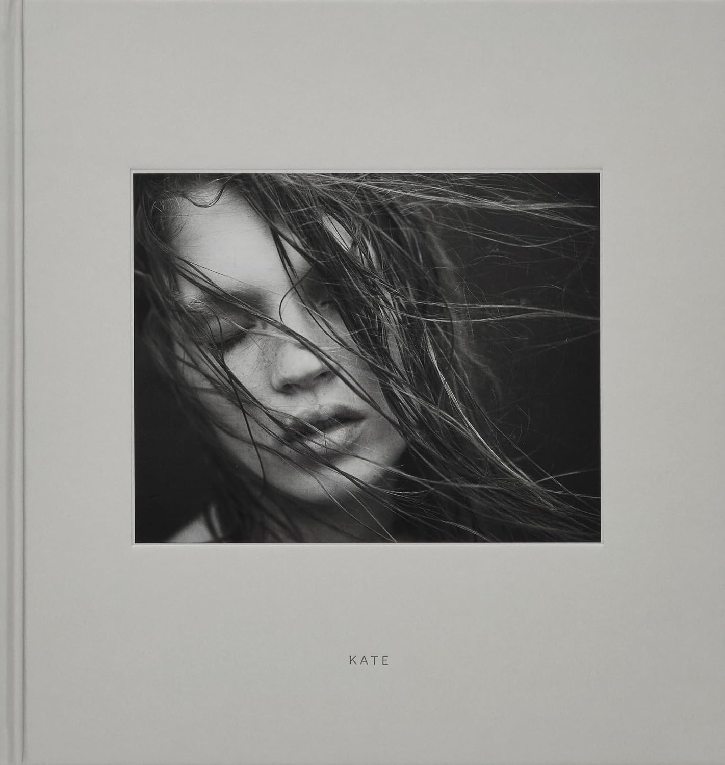 Kate baixar o livro de graça
