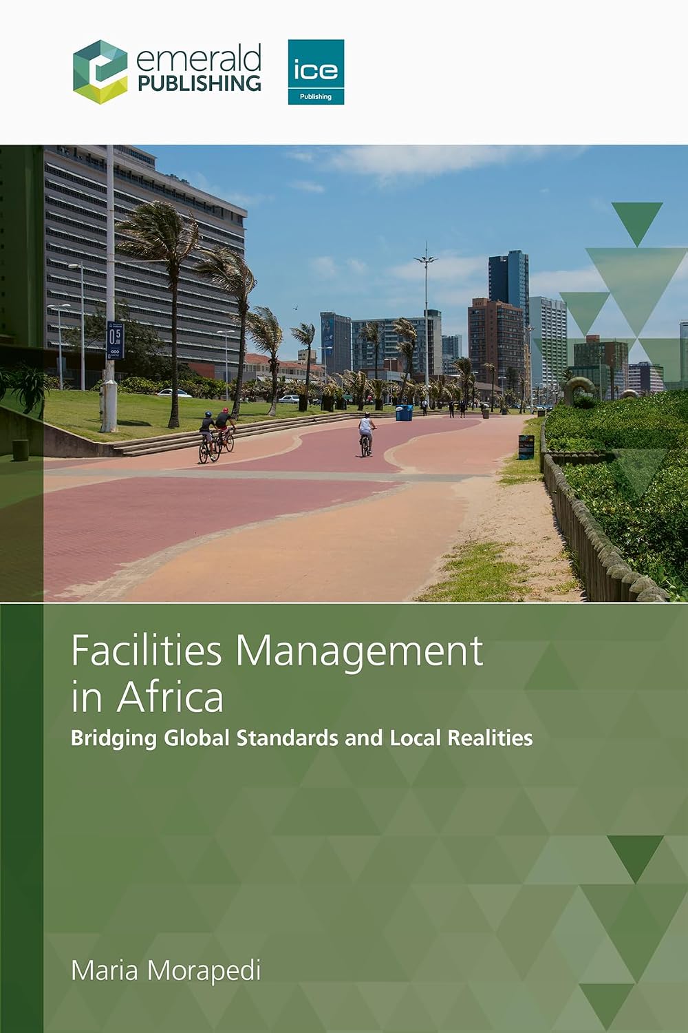 Facilities Management in Africa: Bridging Global Standards and Local Realities (English Edition) baixar o livro de graça