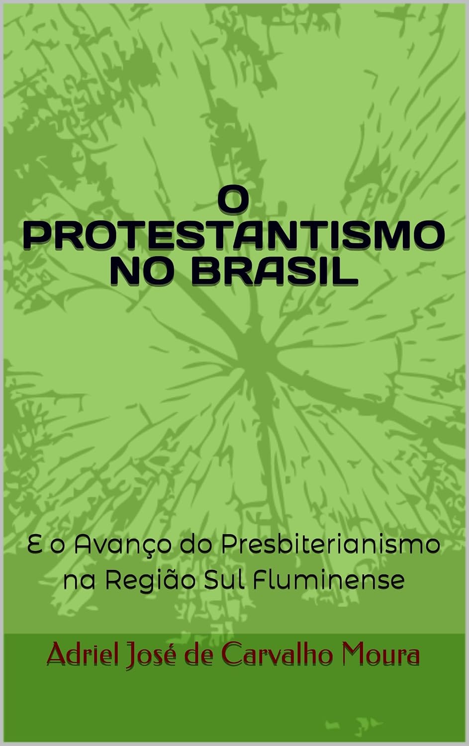 O PROTESTANTISMO NO BRASIL: E o Avanço do Presbiterianismo na Região Sul Fluminense baixar livro de graça