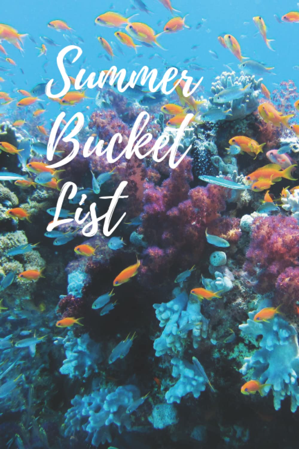 ler totalmente Summer Bucket List: Lined and Blank Notebook for Nature Journaling and Sketching 6x9in with 120 pages