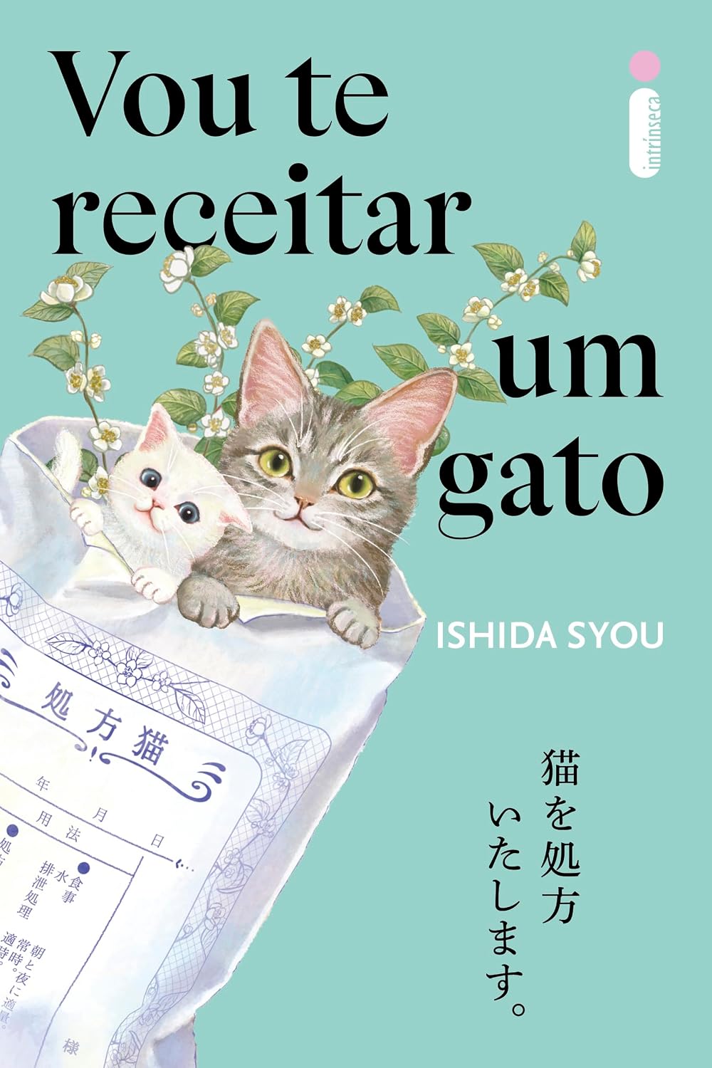 Vou te receitar um gato baixar livro de graça