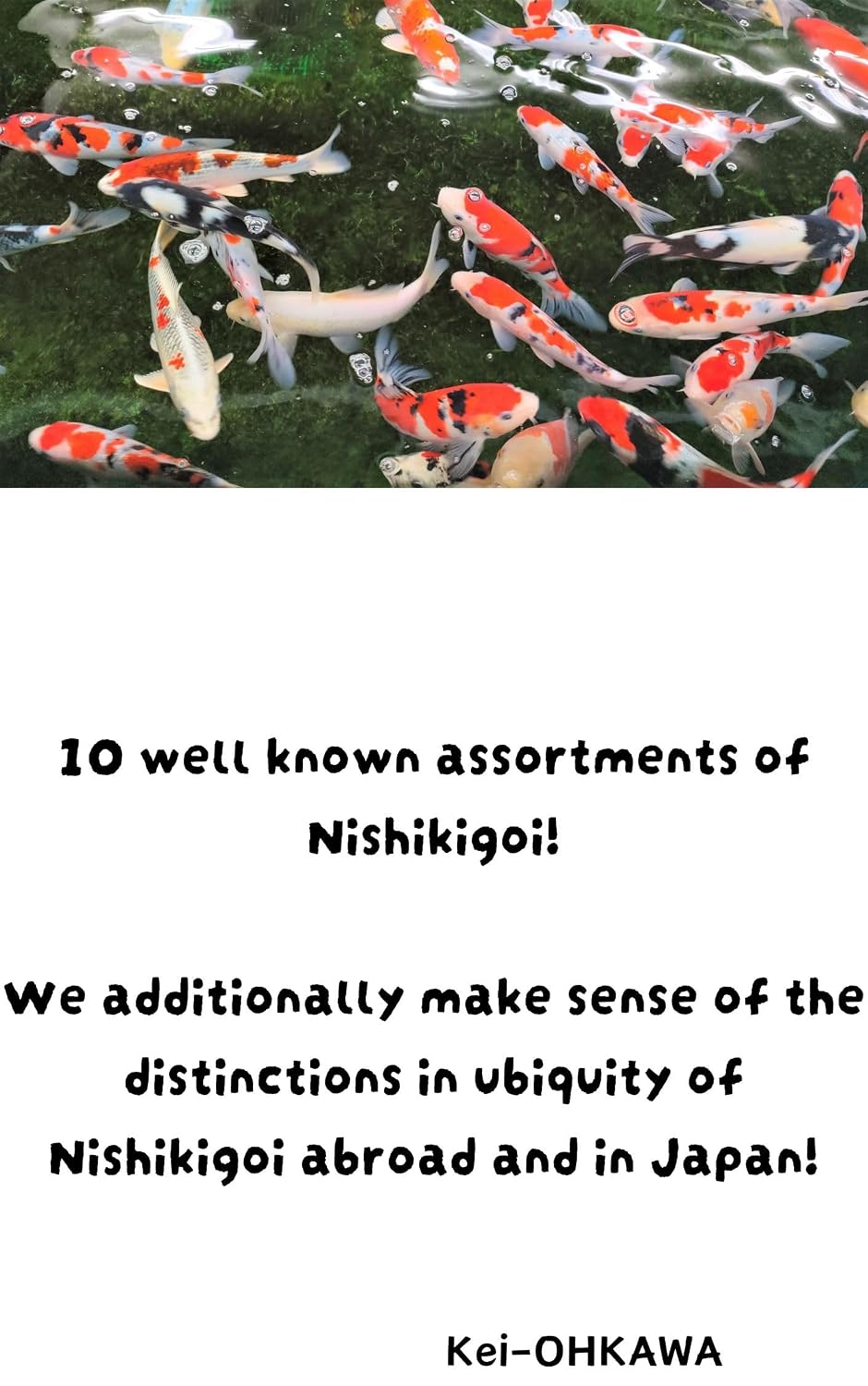 ler totalmente 10 well known assortments of Nishikigoi!: We additionally make sense of the distinctions in ubiquity of Nishikigoi abroad and in Japan! (English Edition)
