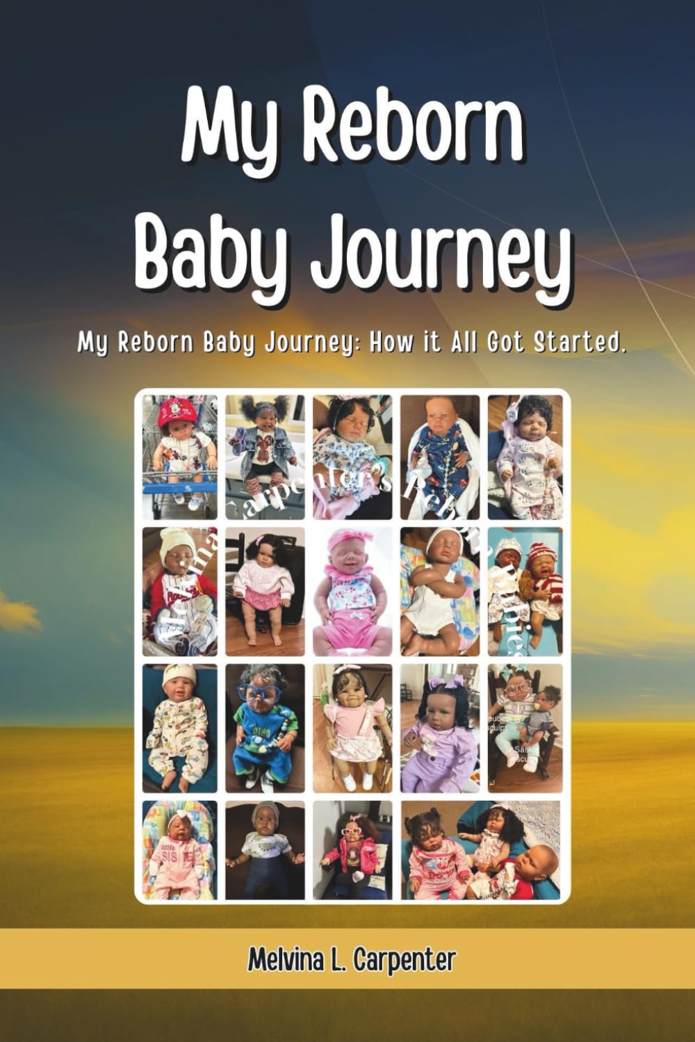 My Reborn Baby Journey: How it All Got Started baixar livro de graça