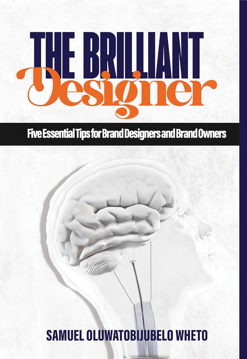 THE BRILLIANT DESIGNER: Five Essential Tips for Brand Designers and Brand Owners. (English Edition) baixar o livro de graça