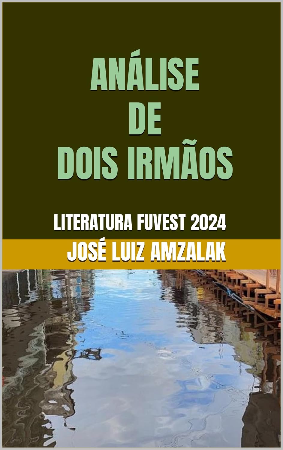ANÁLISE DE DOIS IRMÃOS baixar o livro de graça