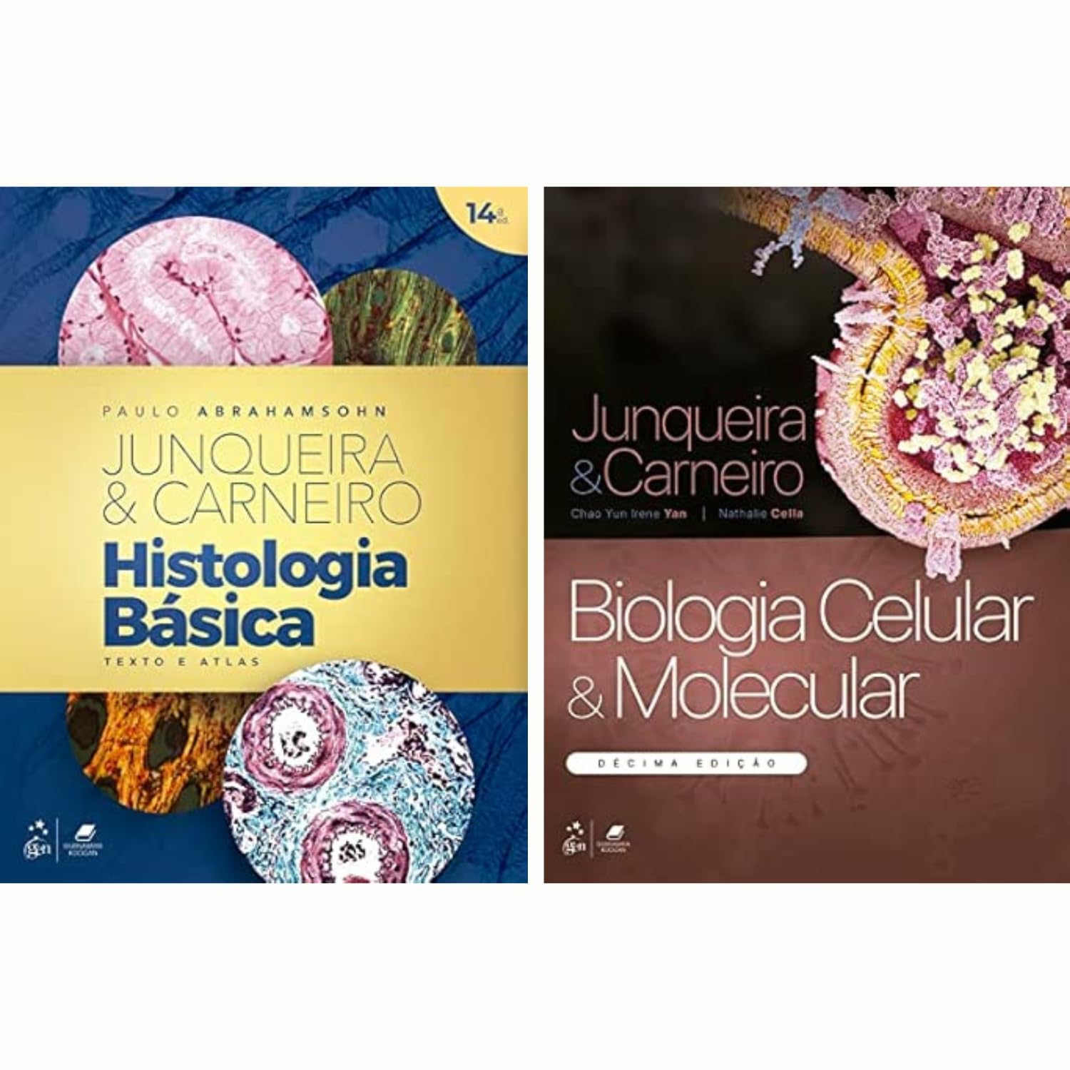 Combo Histologia e Biologia Celular: Histologia Básica + Biologia Celular e Molecular baixar o livro de graça