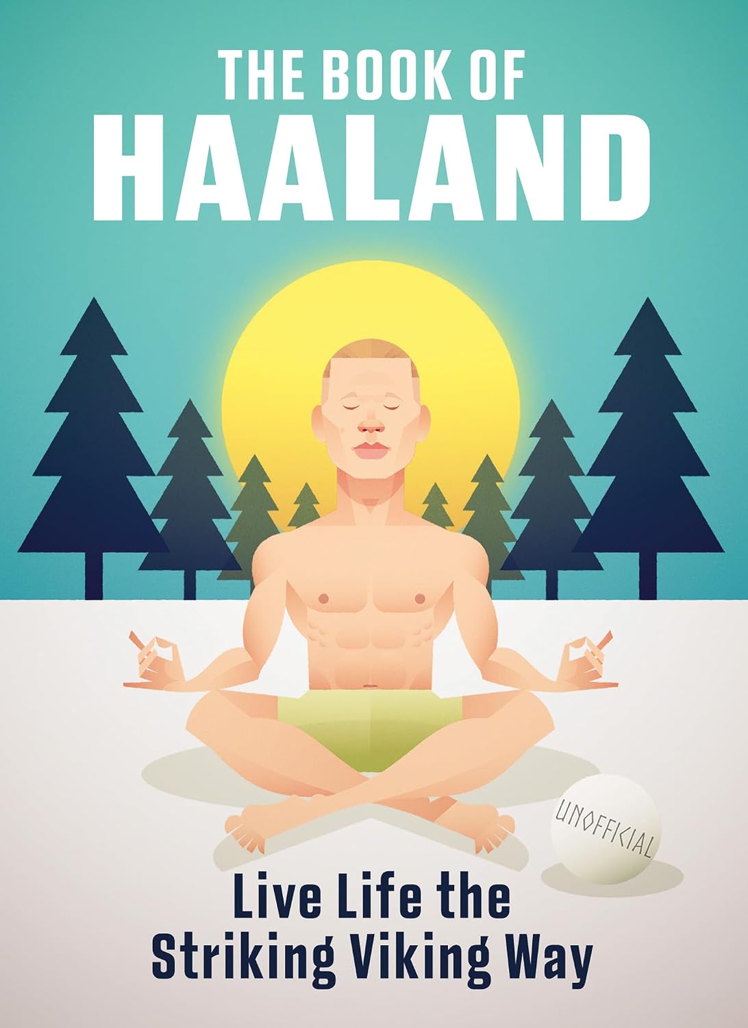 capítulo por capítulo baixar The Book of Haaland: The perfect gift for anyone obsessed with Erling Haaland, the world’s most charismatic footballer. New for 2026. (English Edition)