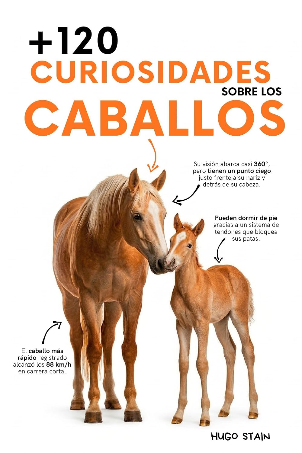 120 CURIOSIDADES sobre CABALLOS: Datos sorprendentes, secretos, historias y curiosidades increíbles sobre razas, comportamiento, historia y cuidados del... (Libros de Caballos nº 1) (Spanish Edition) baixar livro de graça