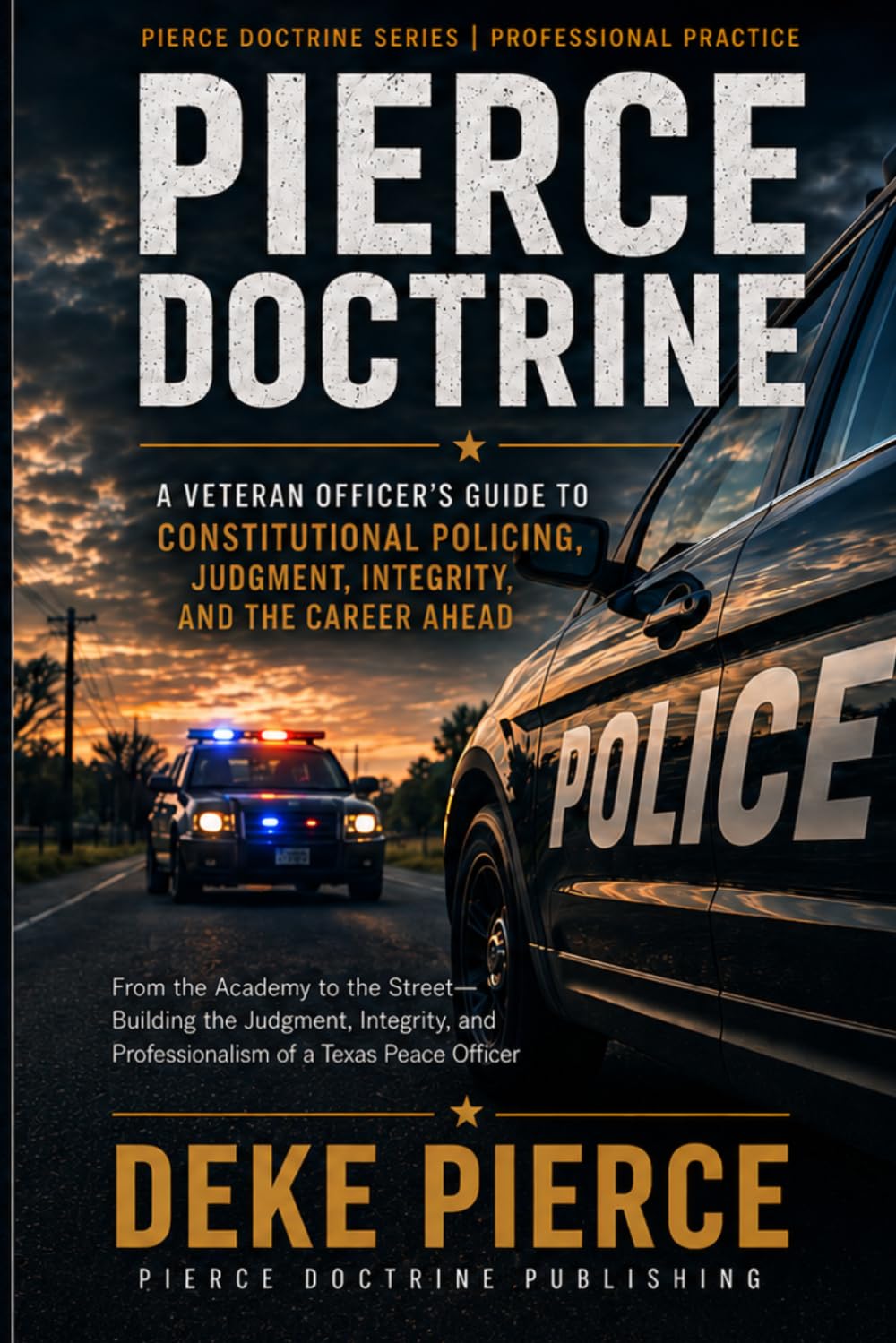 Professional Practice from Academy to Veteran: From me to you... what I've learned in the past 34 years (Pierce Doctrine Series) baixar livro de graça