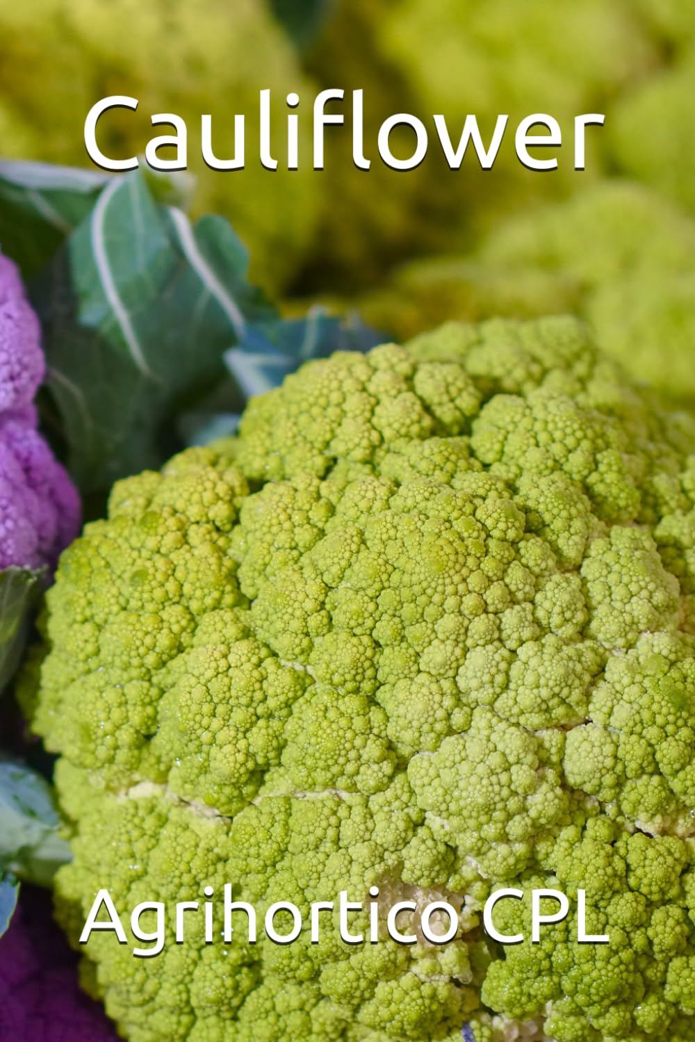 Cauliflower baixar livro de graça
