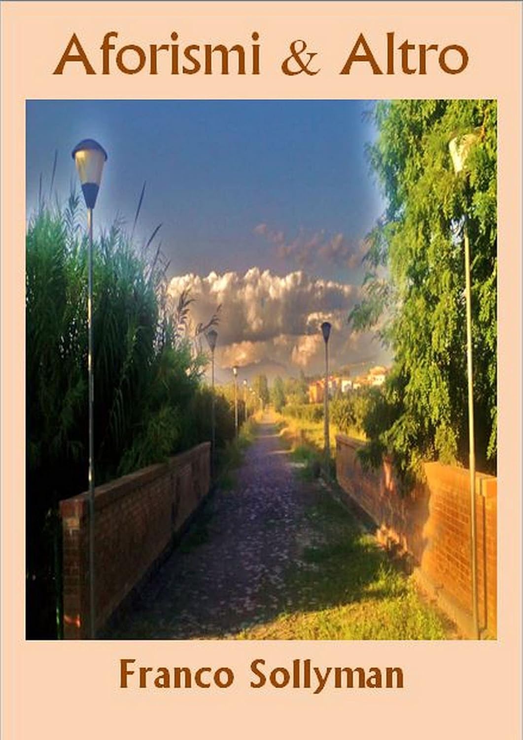 ler totalmente Aforismi & Altro (Italian Edition)