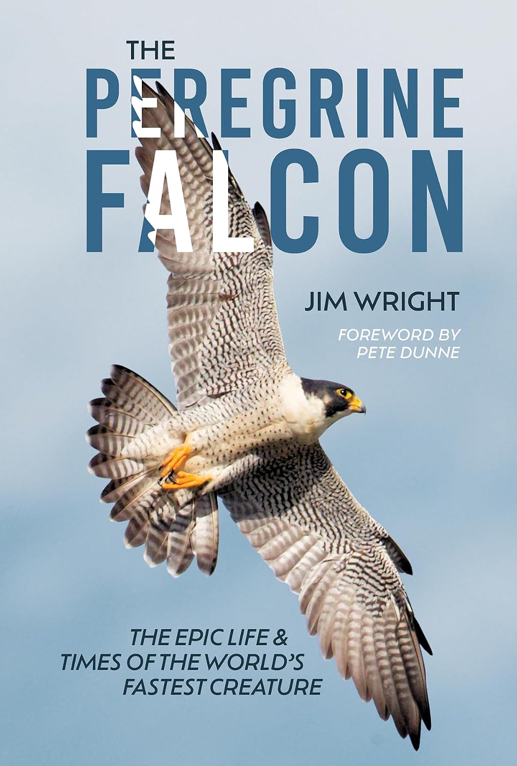 capítulo por capítulo baixar The Peregrine Falcon: The Epic Life and Times of the World's Fastest Creature