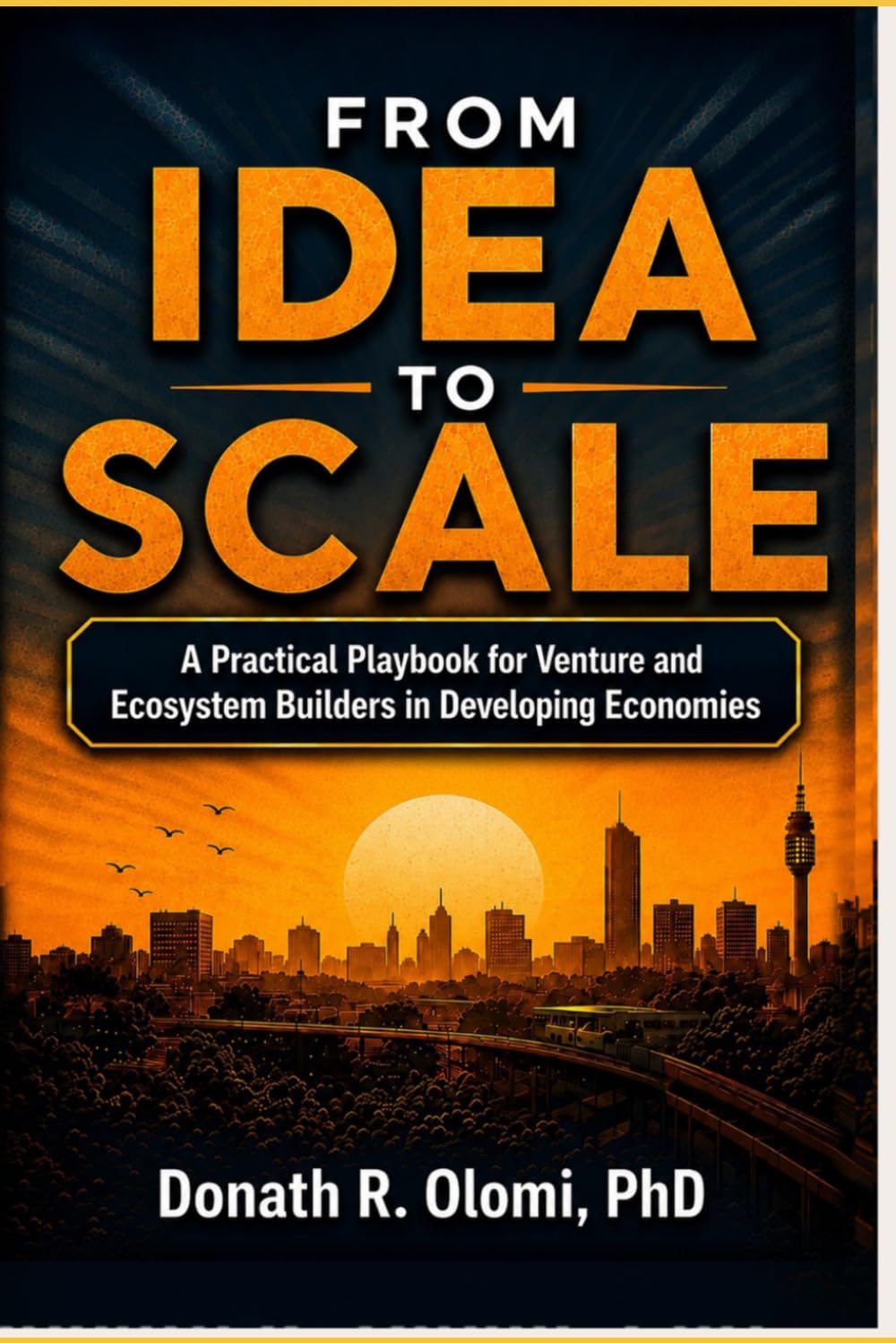 From Idea to Scale: A Practical Playbook for Venture and Ecosystem Builders in Developing Economies baixar livro de graça