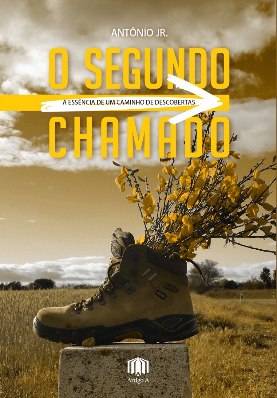 O SEGUNDO CHAMADO: a essência de um caminho de descobertas baixar livro de graça