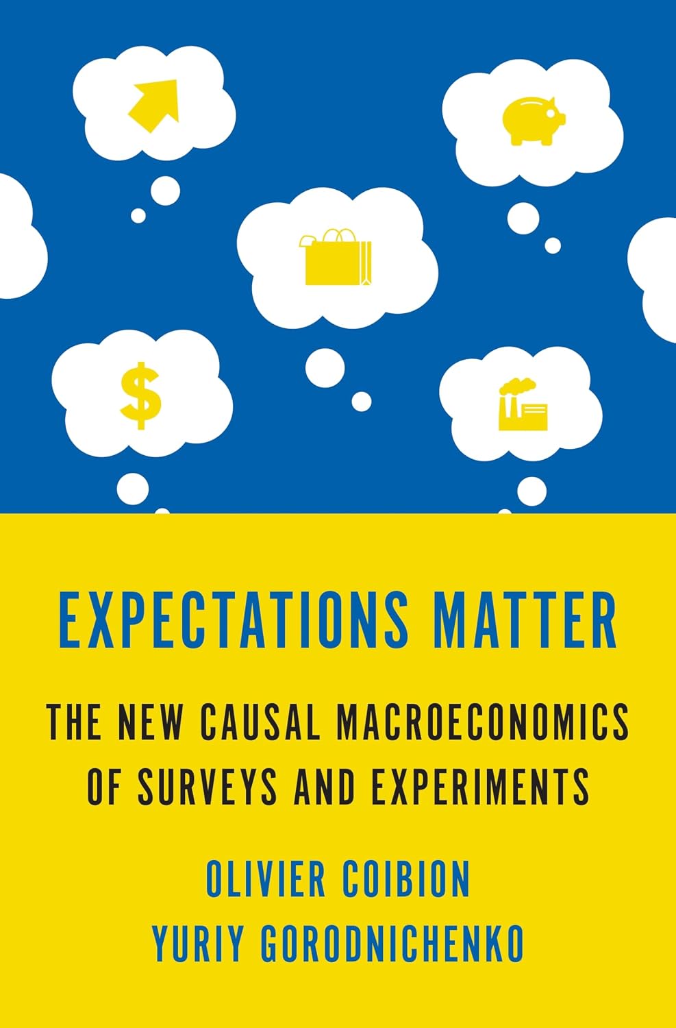 Expectations Matter: The New Causal Macroeconomics of Surveys and Experiments baixar livro de graça