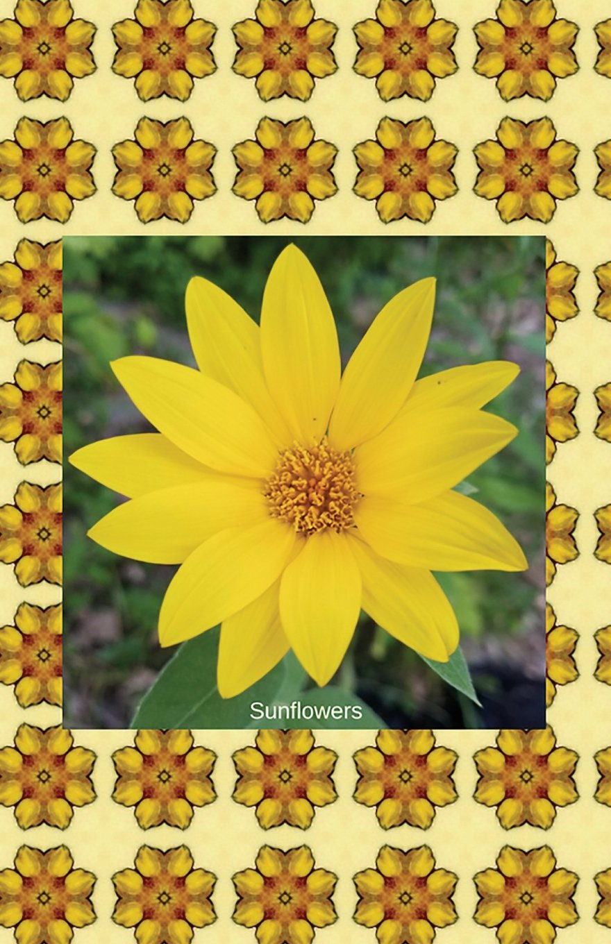 Sunflowers: Journal/Planner baixar livro de graça