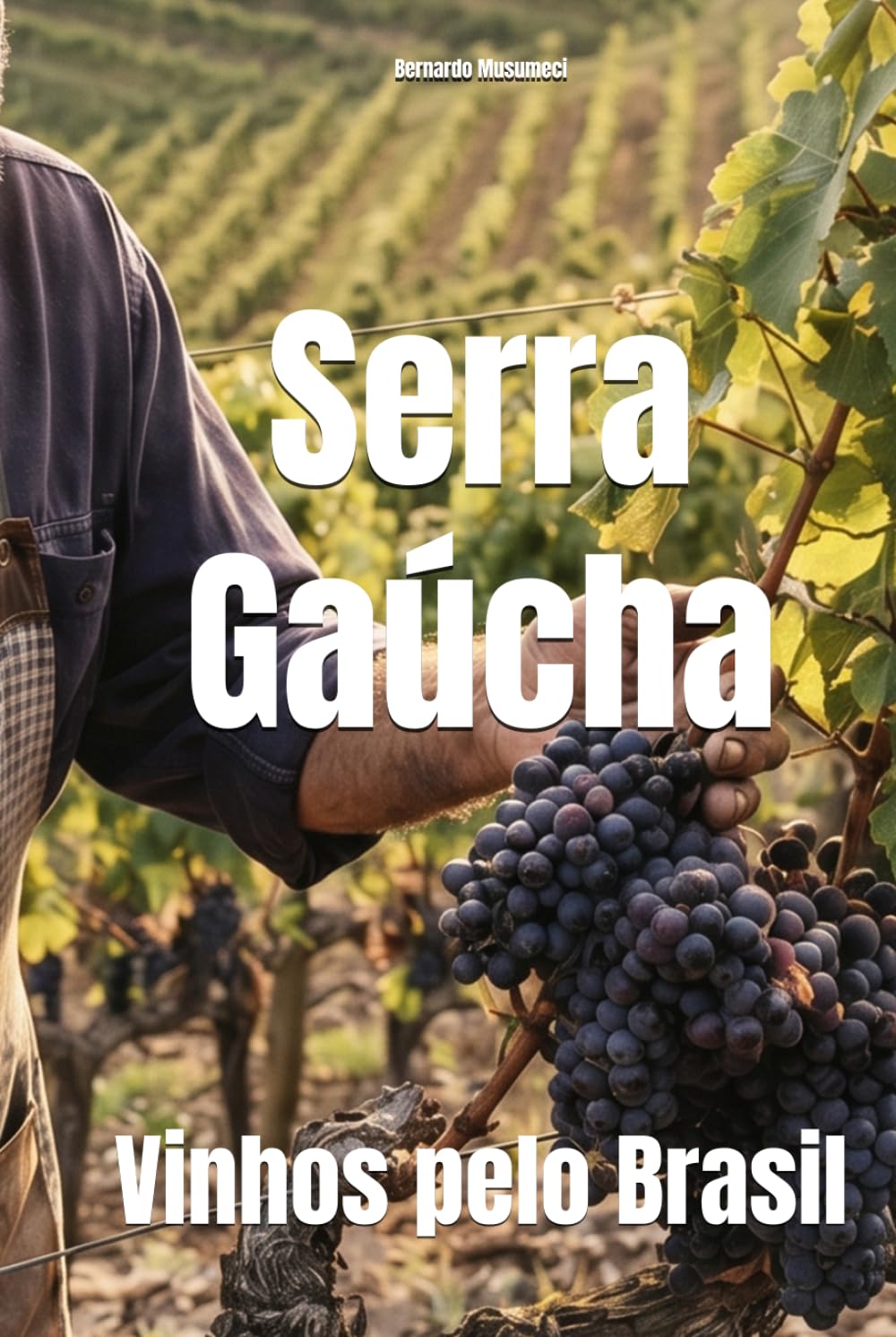 Serra Gaúcha: Vinhos pelo Brasil (Wines of the World: Brazil) (Portuguese Edition) baixar livro de graça