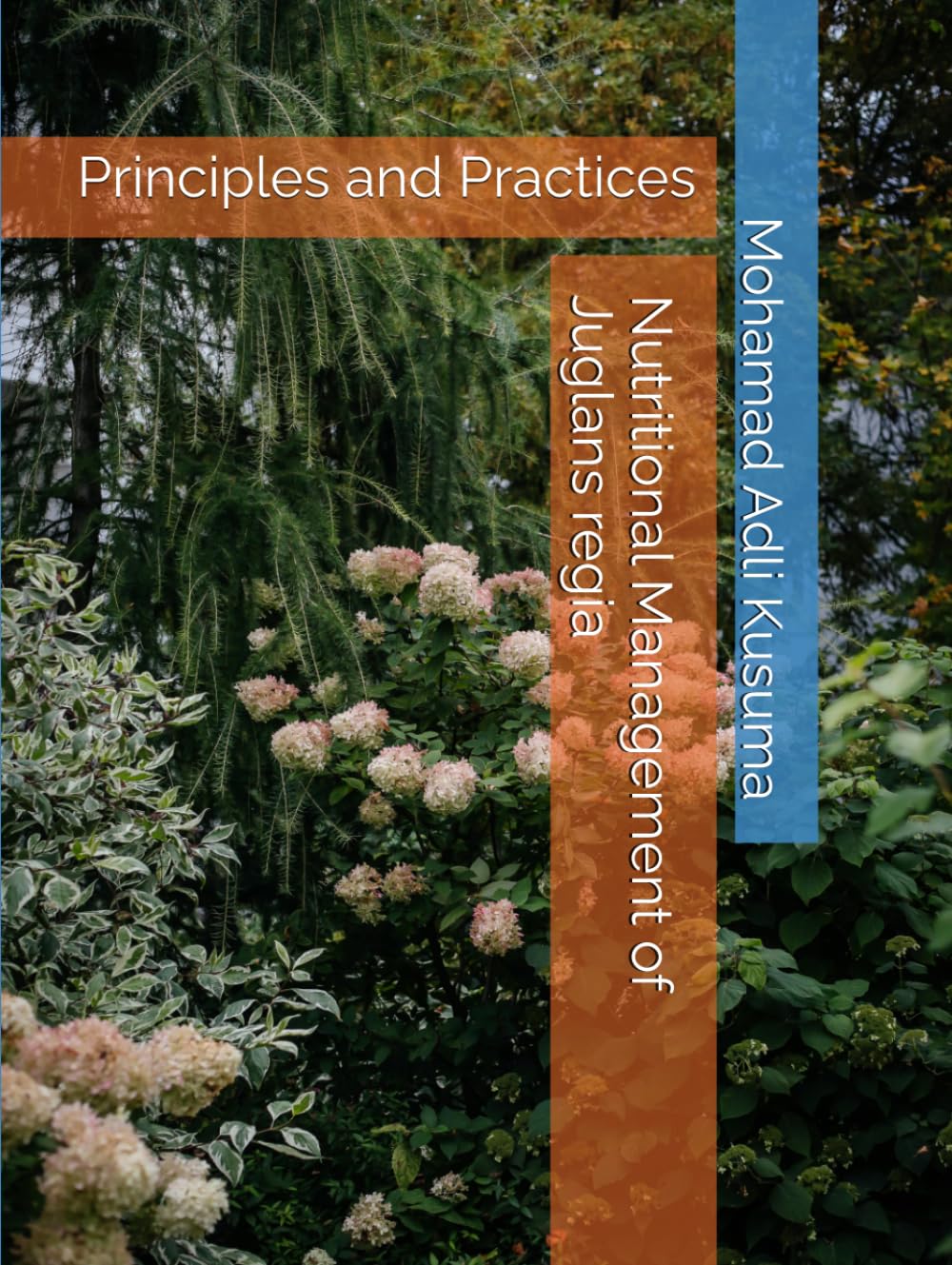 capítulo por capítulo baixar Nutritional Management of Juglans regia: Principles and Practices