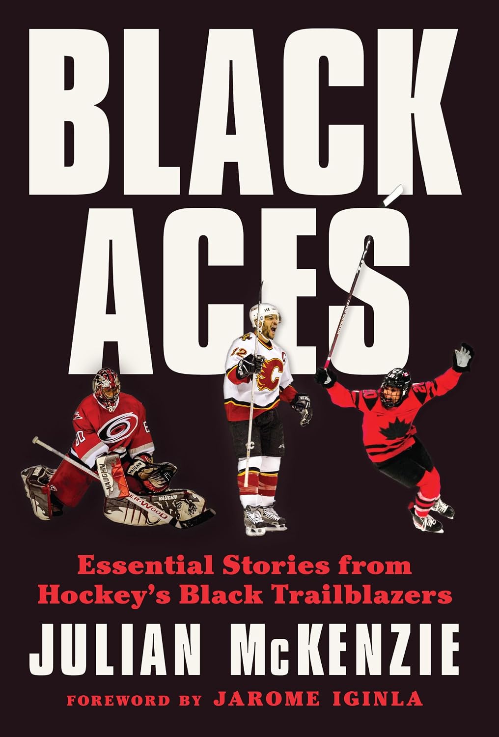 capítulo por capítulo baixar Black Aces: Essential Stories from Hockey's Black Trailblazers