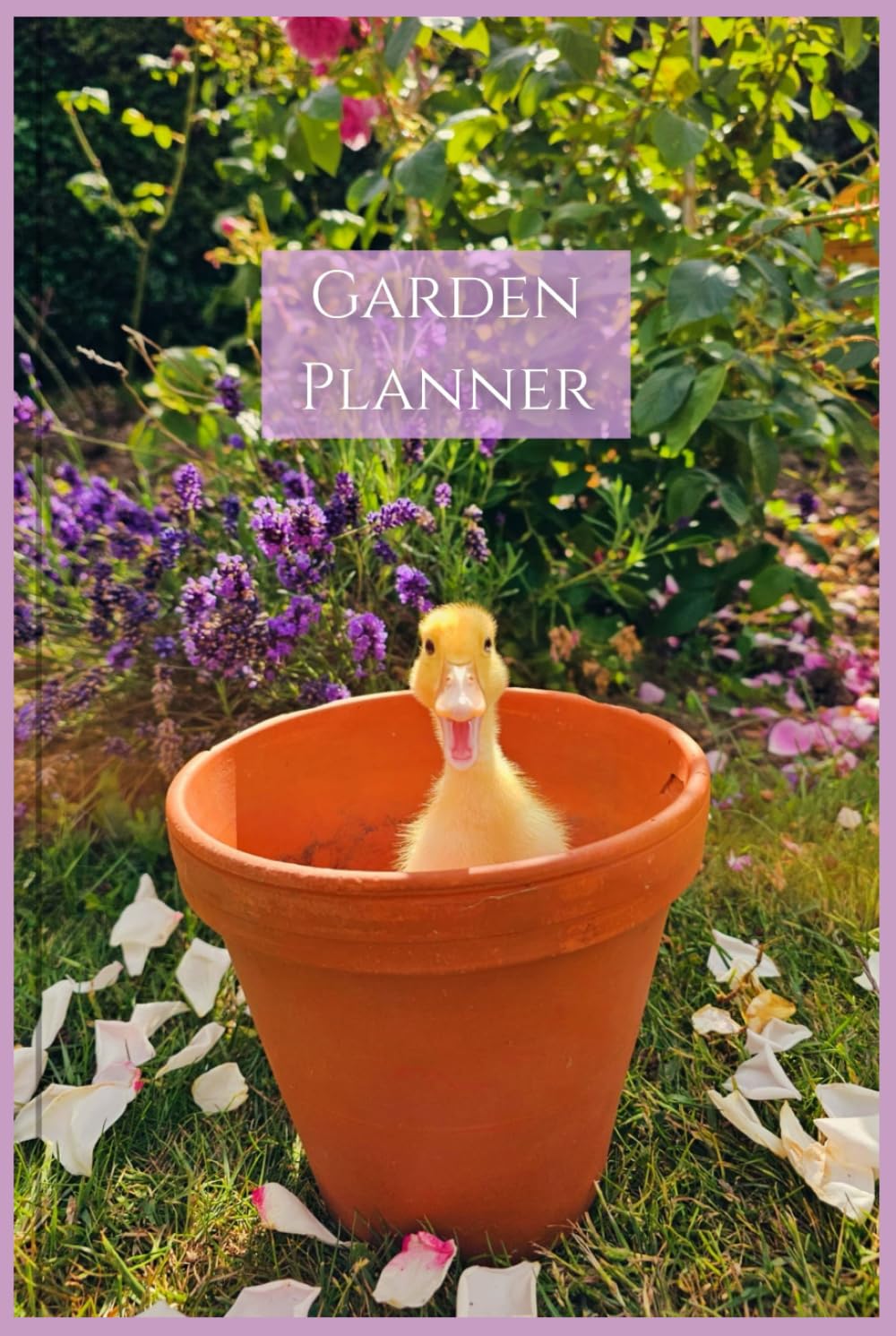 Garden Planner and Log Book: Gardening Journal, Duck in Plant Pot Cover Design, Gardeners Organiser, Garden Notebook baixar o livro de graça