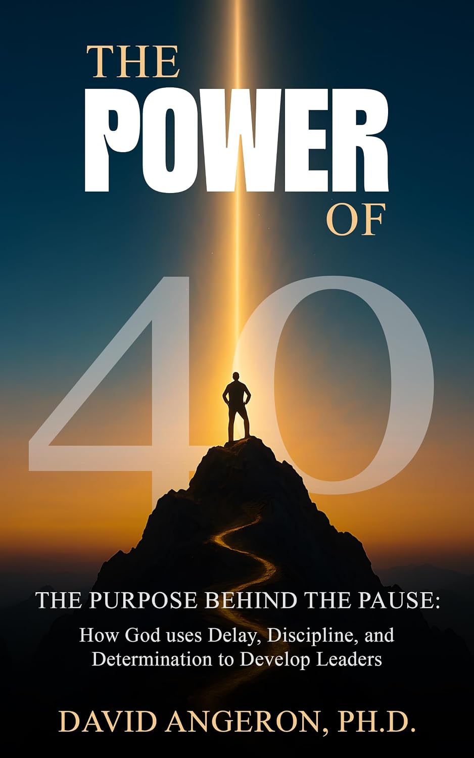 The Power of 40: The Purpose Behind the Pause: How God Uses Delay, Discipline, and Determination to Develop Leaders (English Edition) baixar livro de graça