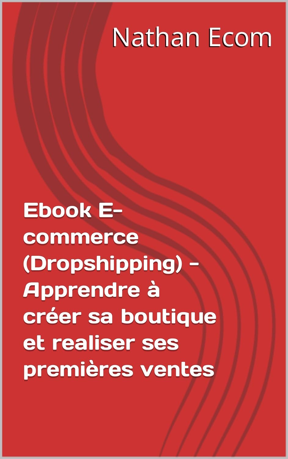 Ebook E-commerce (Dropshipping) - Apprendre à créer sa boutique et realiser ses premières ventes (French Edition) baixar livro de graça