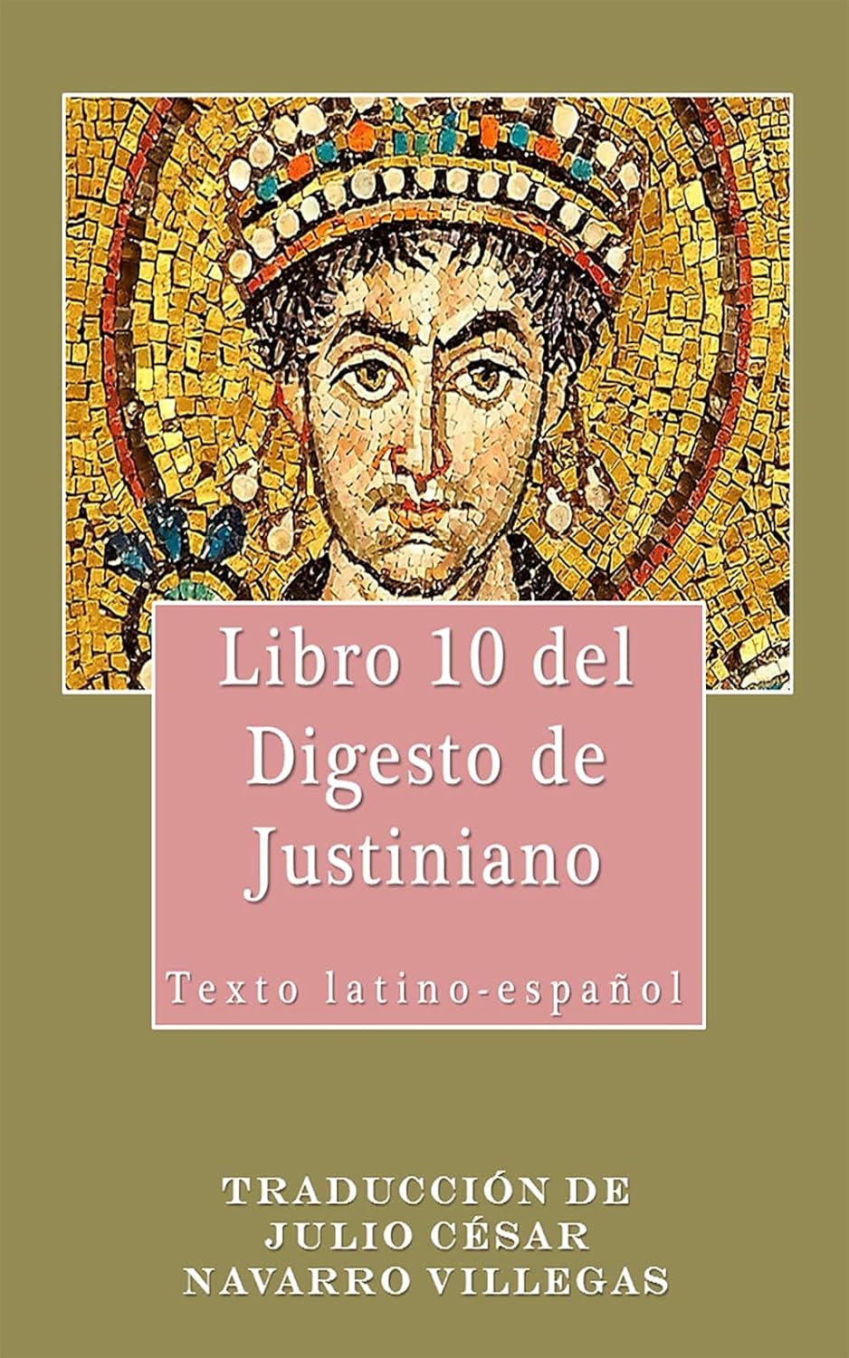 Libro 10 del Digesto de Justiniano (traducción): Texto latino-español (Digesta Iustiniani Imperatoris (versión digital)) (Spanish Edition) baixar o livro de graça