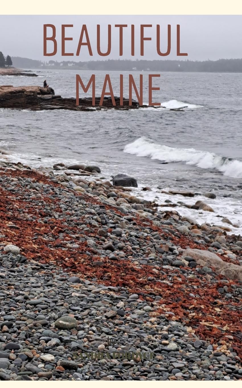 Beautiful Maine baixar o livro de graça