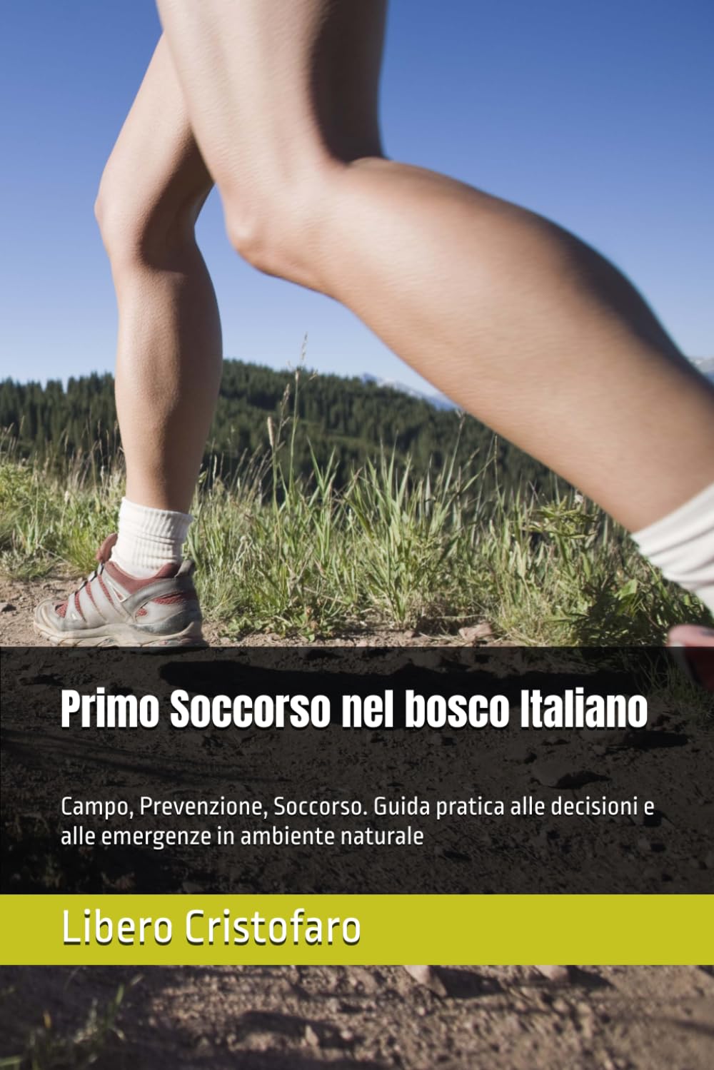 Primo Soccorso nel bosco Italiano: Campo, Prevenzione, Soccorso. Guida pratica alle decisioni e alle emergenze in ambiente naturale: 2 baixar o livro de graça