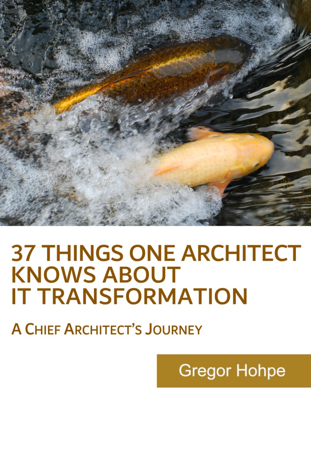capítulo por capítulo baixar 37 Things One Architect Knows About IT Transformation: A Chief Architect's Journey