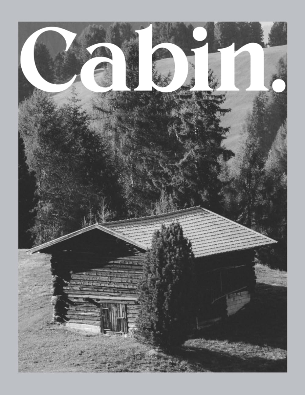 Cabin: Cozy Winter Coffee Table Book for Home Decor | Frost Covered Mountain Photography baixar o livro de graça