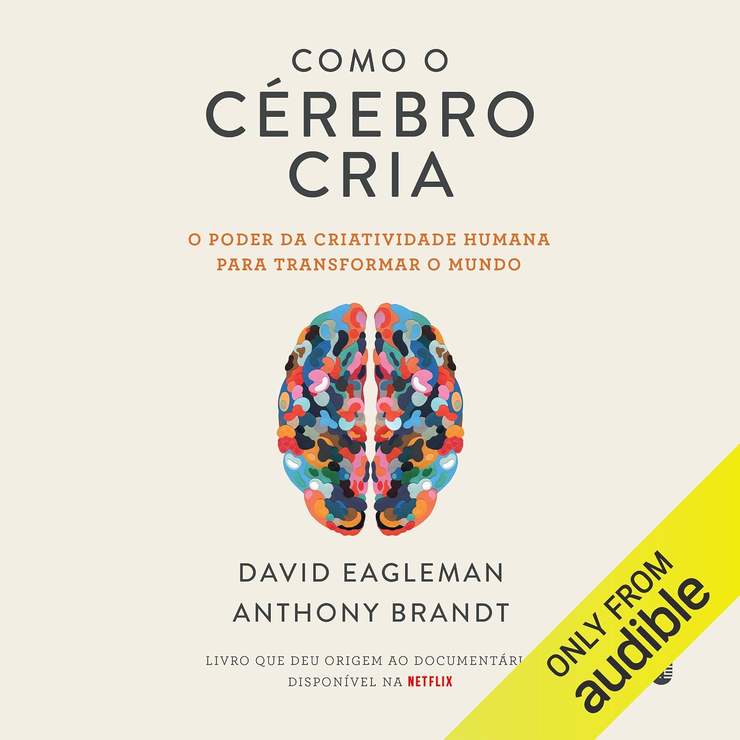 Como o cérebro cria: O poder da criatividade humana para transformar o mundo