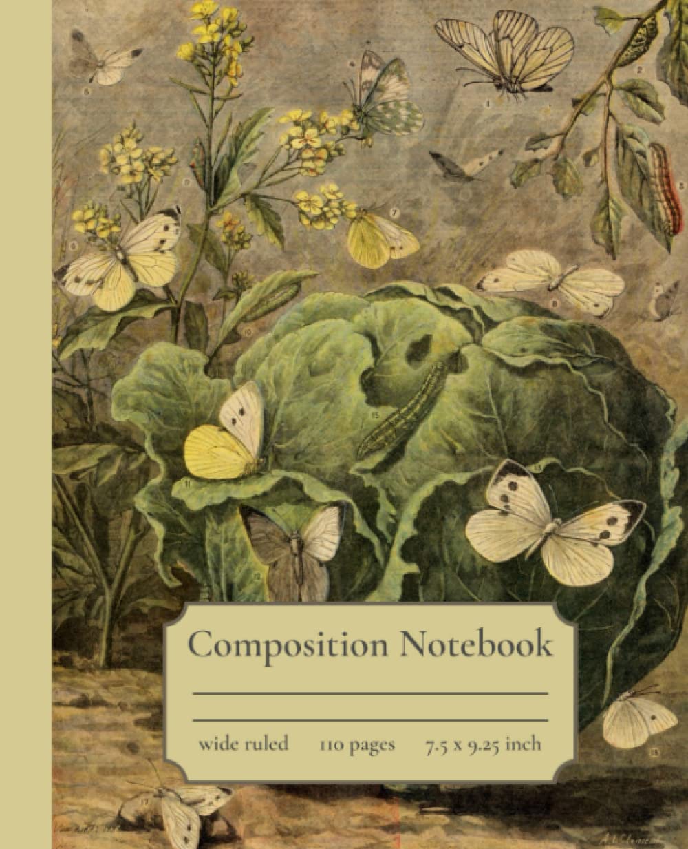 Moth composition notebook | College Ruled Composition Notebook | Vintage Moth Illustration | Perfect for School, office and Home | 110 Pages | Premium Soft Cover baixar o livro de graça