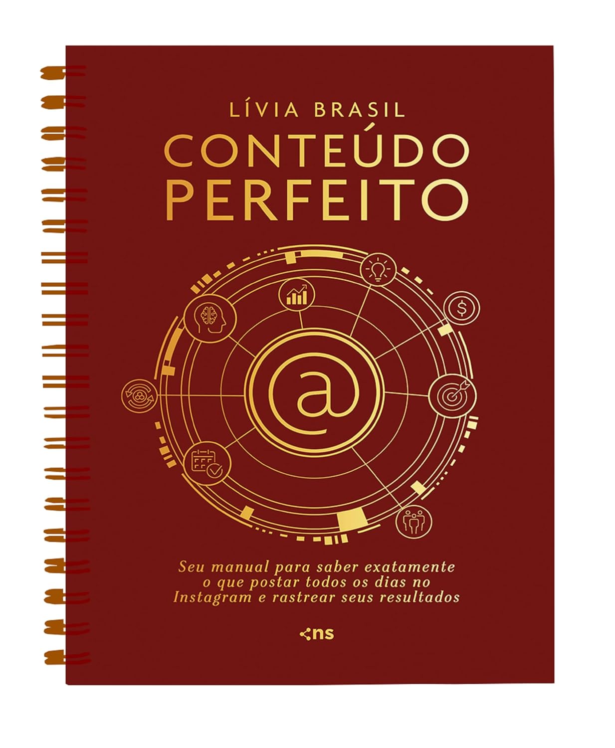 Conteúdo perfeito: Seu manual para saber exatamente o que postar todos os dias no Instagram e rastrear seus resultados