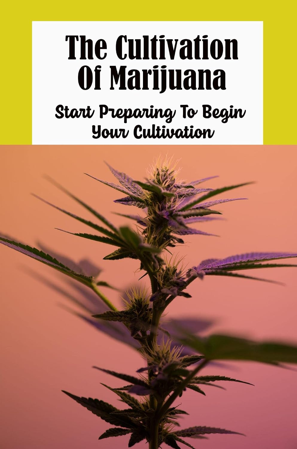 The Cultivation Of Marijuana: Start Preparing To Begin Your Cultivation (English Edition) baixar livro de graça